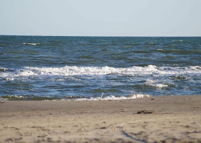 Tannishus Биндслев